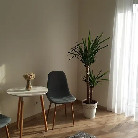 Világos, kellemes lakás, jó közlekedéssel Budapest Extérieur photo