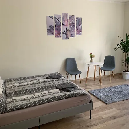 Világos, kellemes lakás, jó közlekedéssel Budapest Extérieur photo
