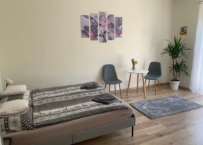 Világos, kellemes lakás, jó közlekedéssel