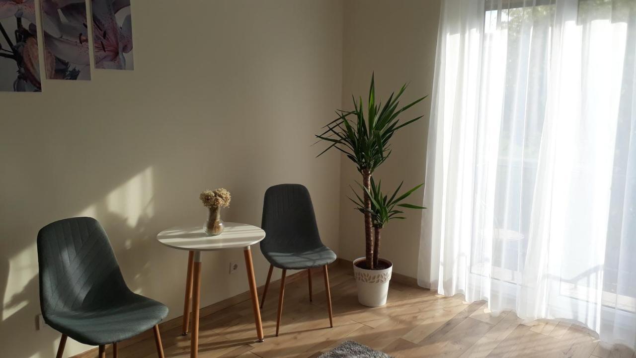 Világos, Kellemes Lakás, Jó Közlekedéssel Budapest