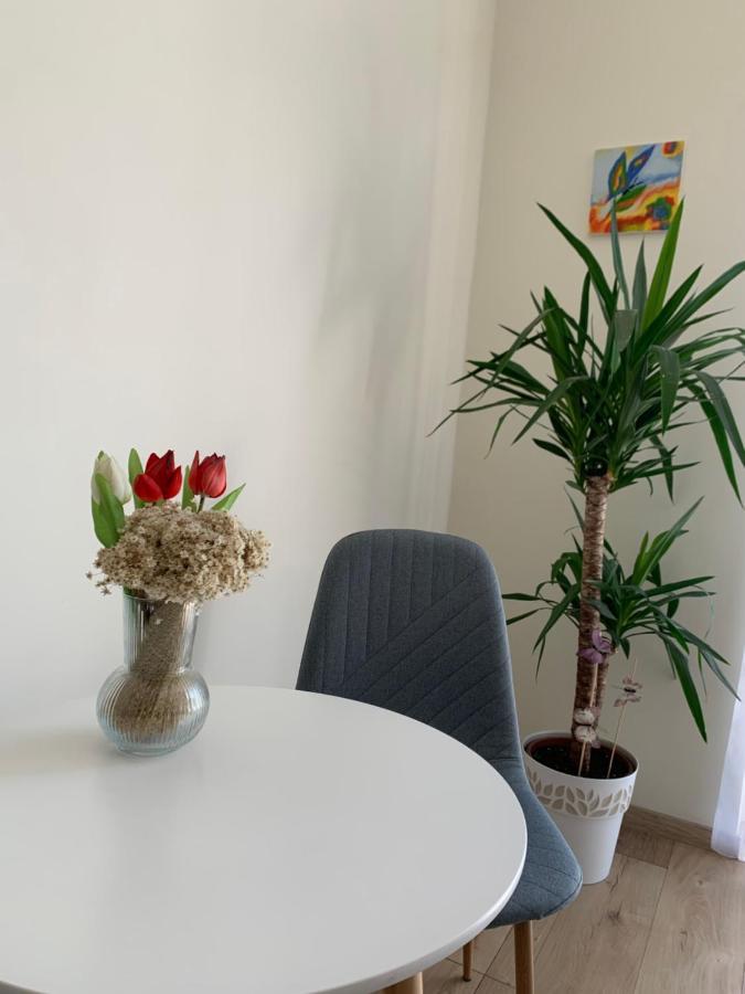 Appartement Világos, Kellemes Lakás, Jó Közlekedéssel *